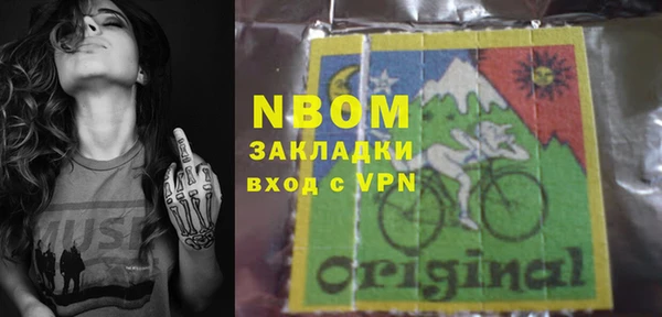 прущие грибы Аркадак