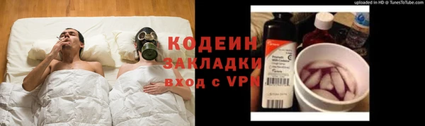 прущие грибы Аркадак
